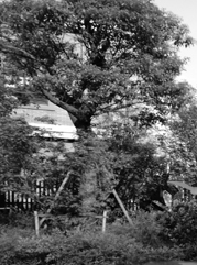 大连注册公司